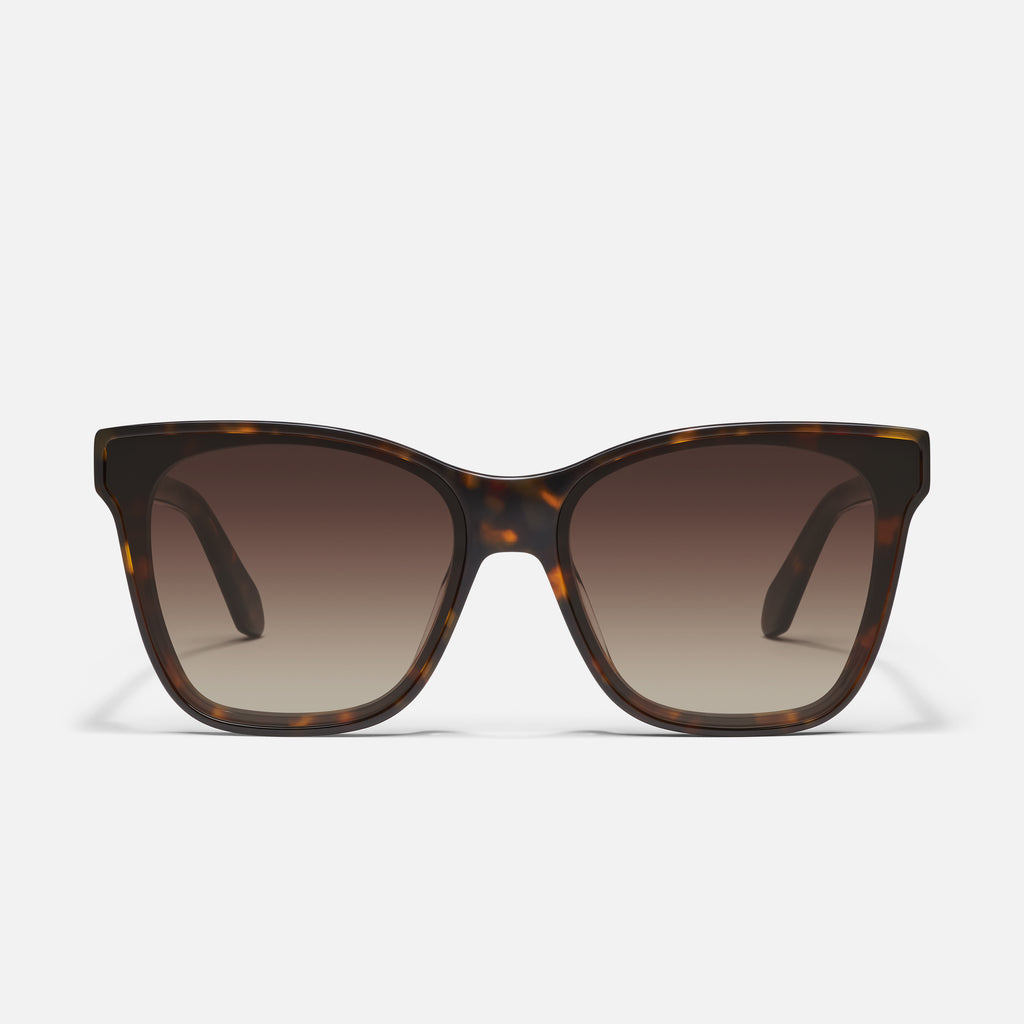 Tortoise Sunglasses Collection – Quay’s Classic Designs – QUAY