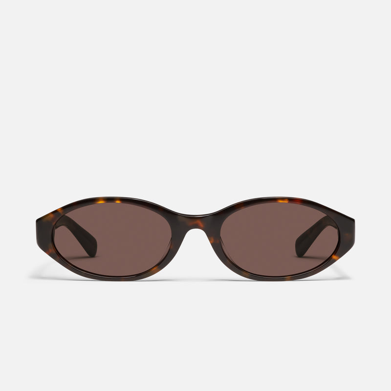 NEUTRAL TORT/RX SUNGLASSES