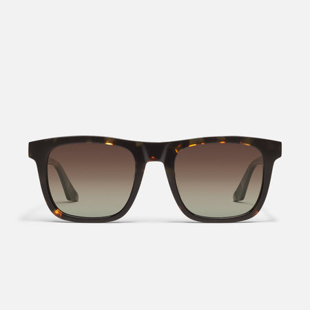 DARK TORT/BROWN POLARIZED