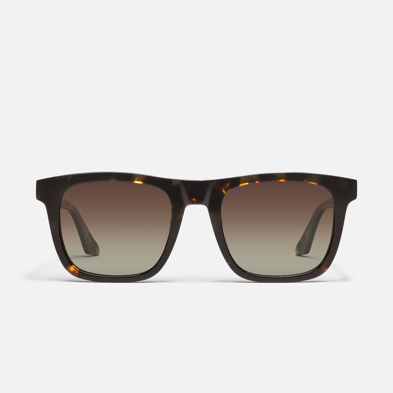 DARK TORT/BROWN POLARIZED