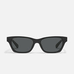 BLACK/SMOKE POLARIZED