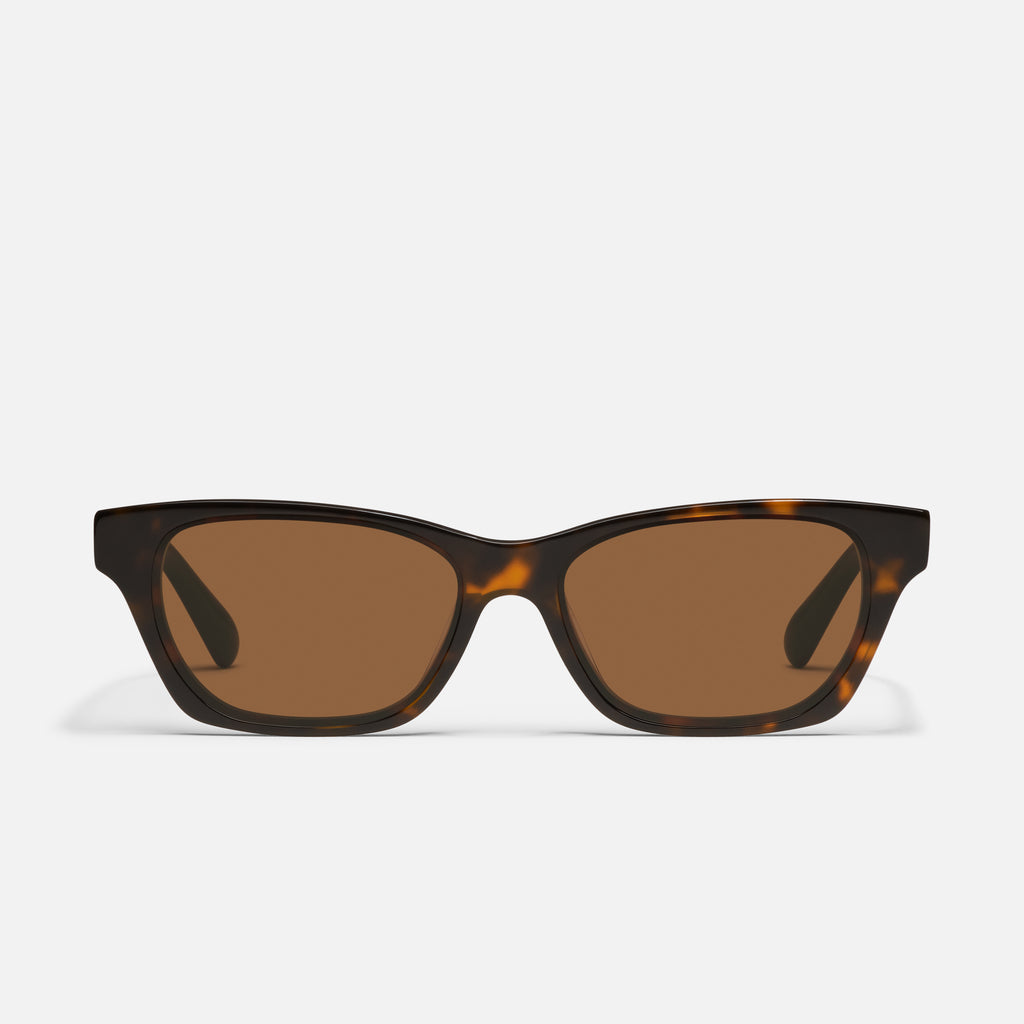 DARK TORT/BROWN