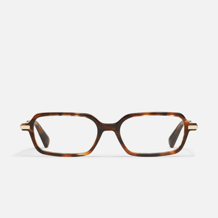 AMBER TORT/RX