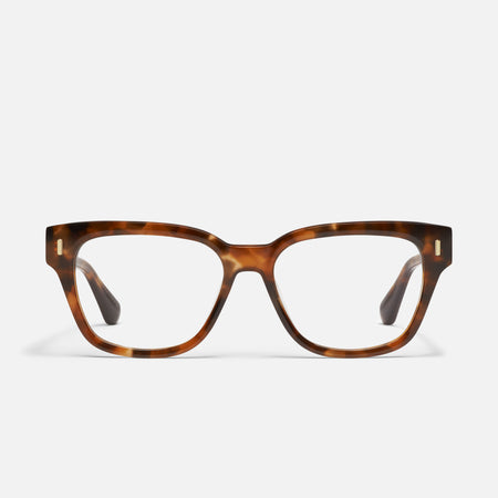 AMBER TORT/RX