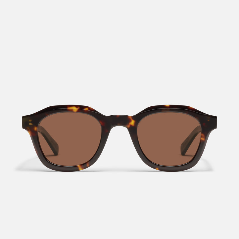 DARK TORT/BROWN POLARIZED