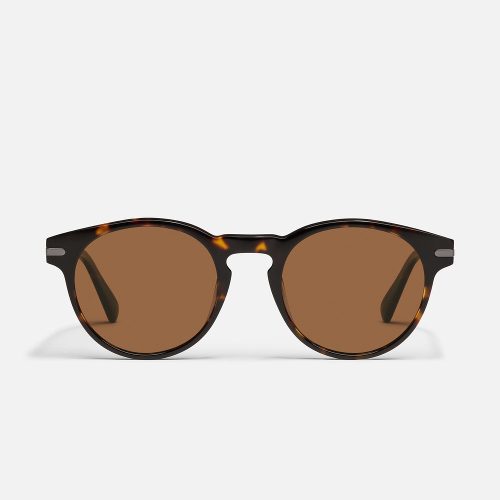 DARK TORT/BROWN POLARIZED