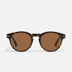 DARK TORT/BROWN POLARIZED
