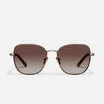 CHOCOLATE/RX sunglasses
