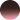 SWEET TALKER - CHOCOLATE PEONY/BROWN